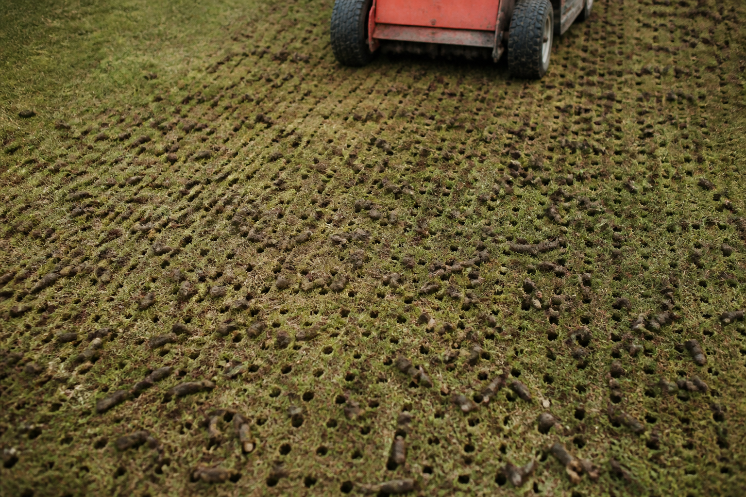 Core Aeration & Overseeding